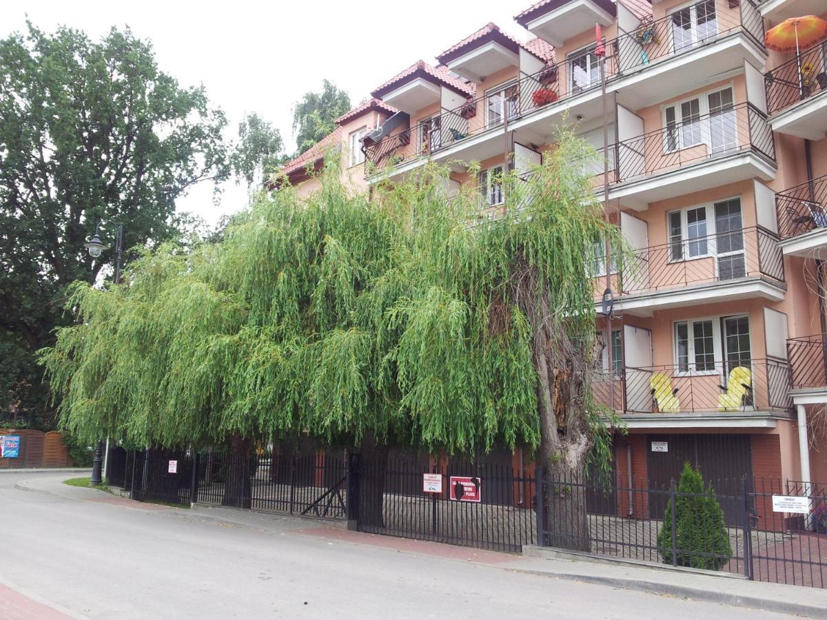 Krynica - Free Parking